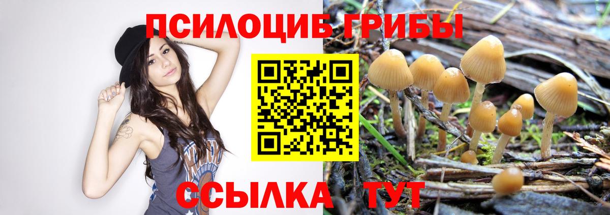 Галлюциногенные грибы GOLDEN TEACHER Фурманов