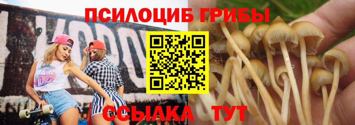 Фурманов  Псилоцибиновые грибы мухоморы  Вход с VPN 